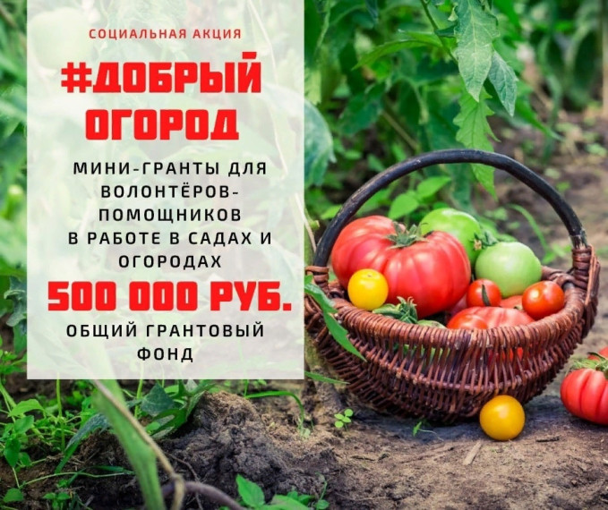Новый сезон акции #ДобрыйОгород. Новый сезон акции #ДобрыйОгород.